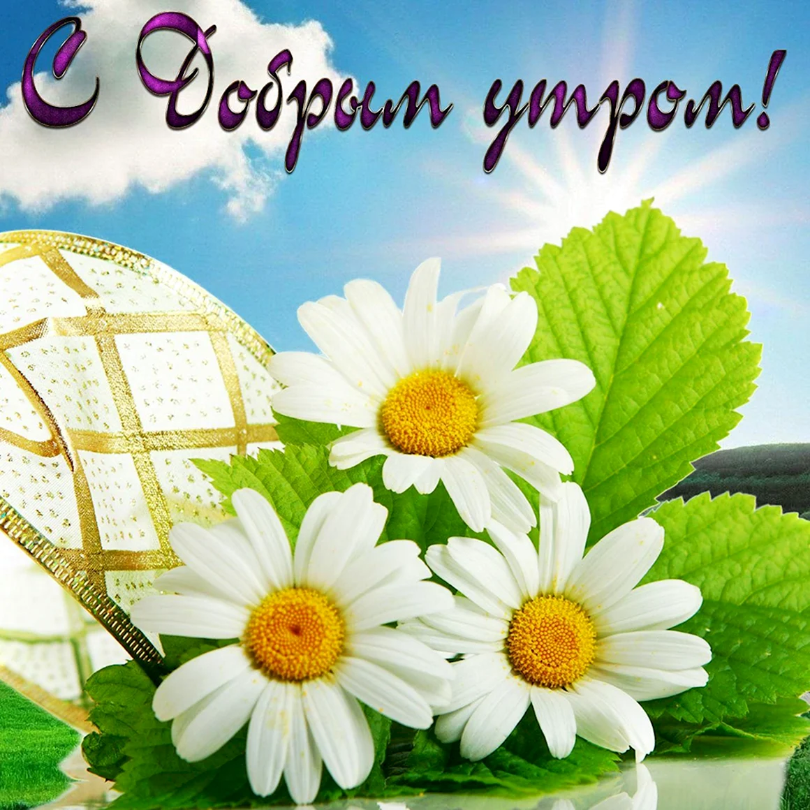 Открытки с добрым утром красивые