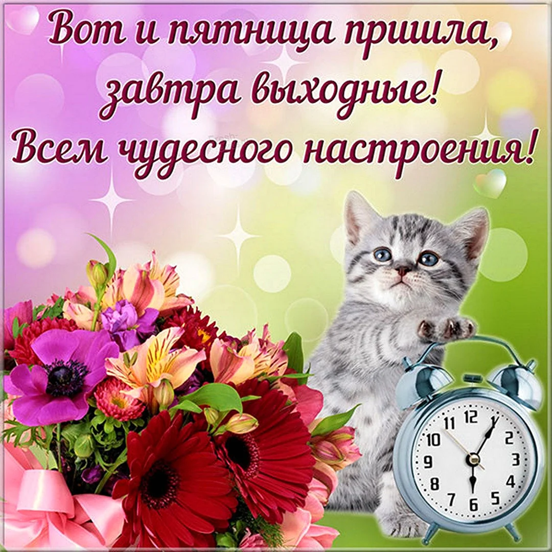 Открытки с добрым утром пятницы