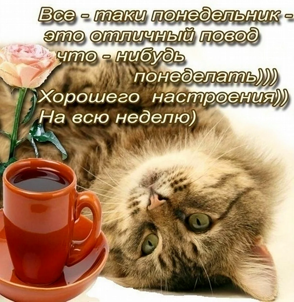 Открытки с добрым утром понедельника