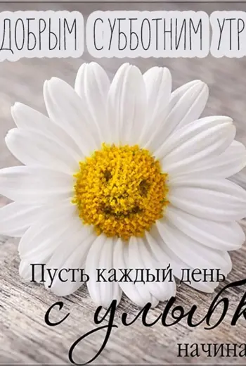 Открытки с добрым утром субботы