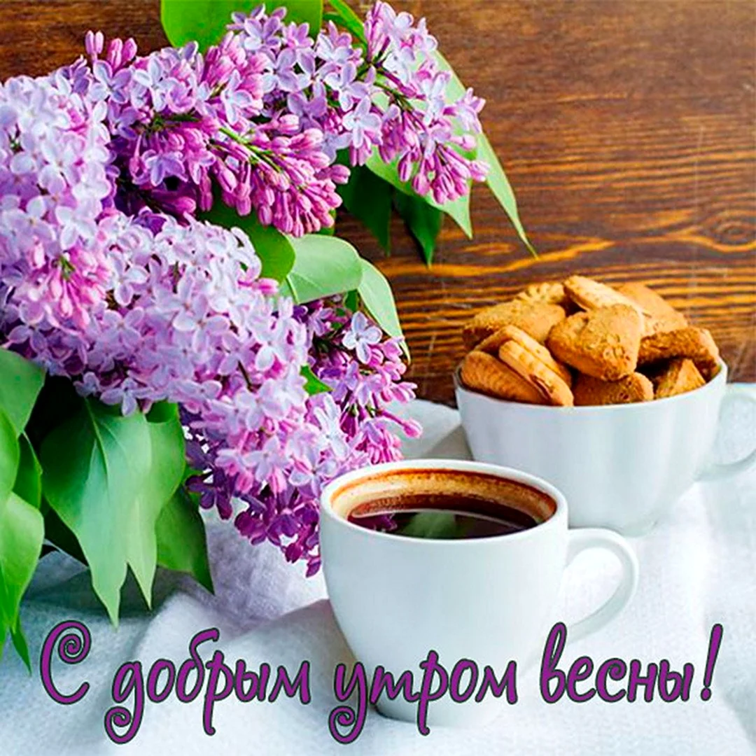 Открытки с добрым утром весенние бесплатно для ватсап