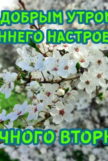 Открытки с добрым утром вторника весенние