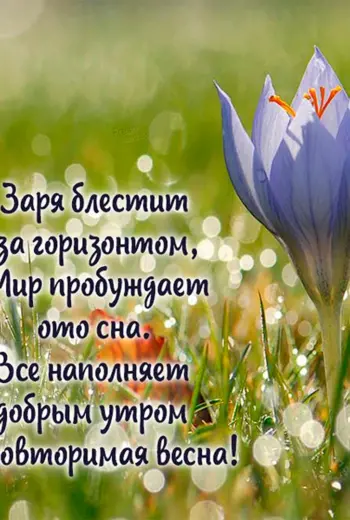 Открытки с добрым воскресным утром