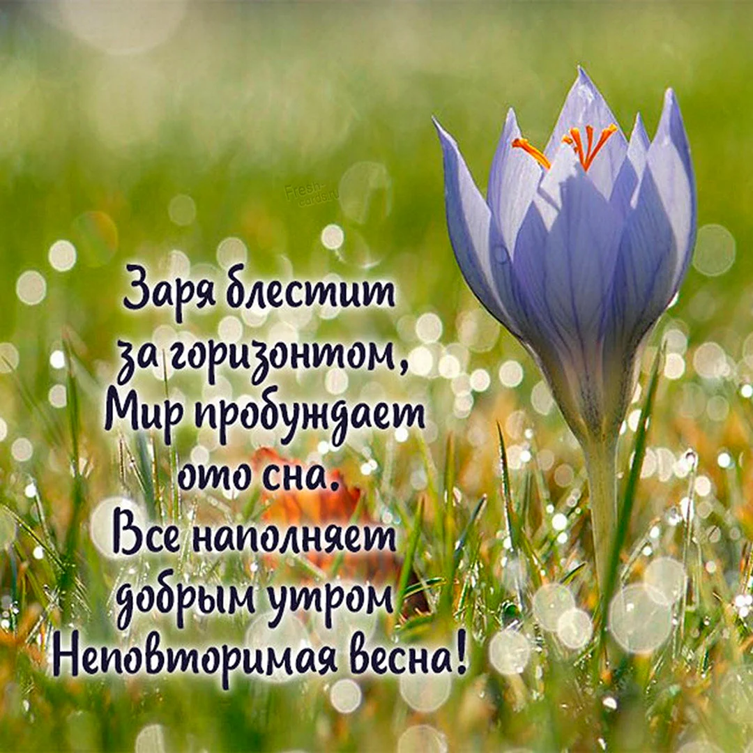 Открытки с добрым воскресным утром