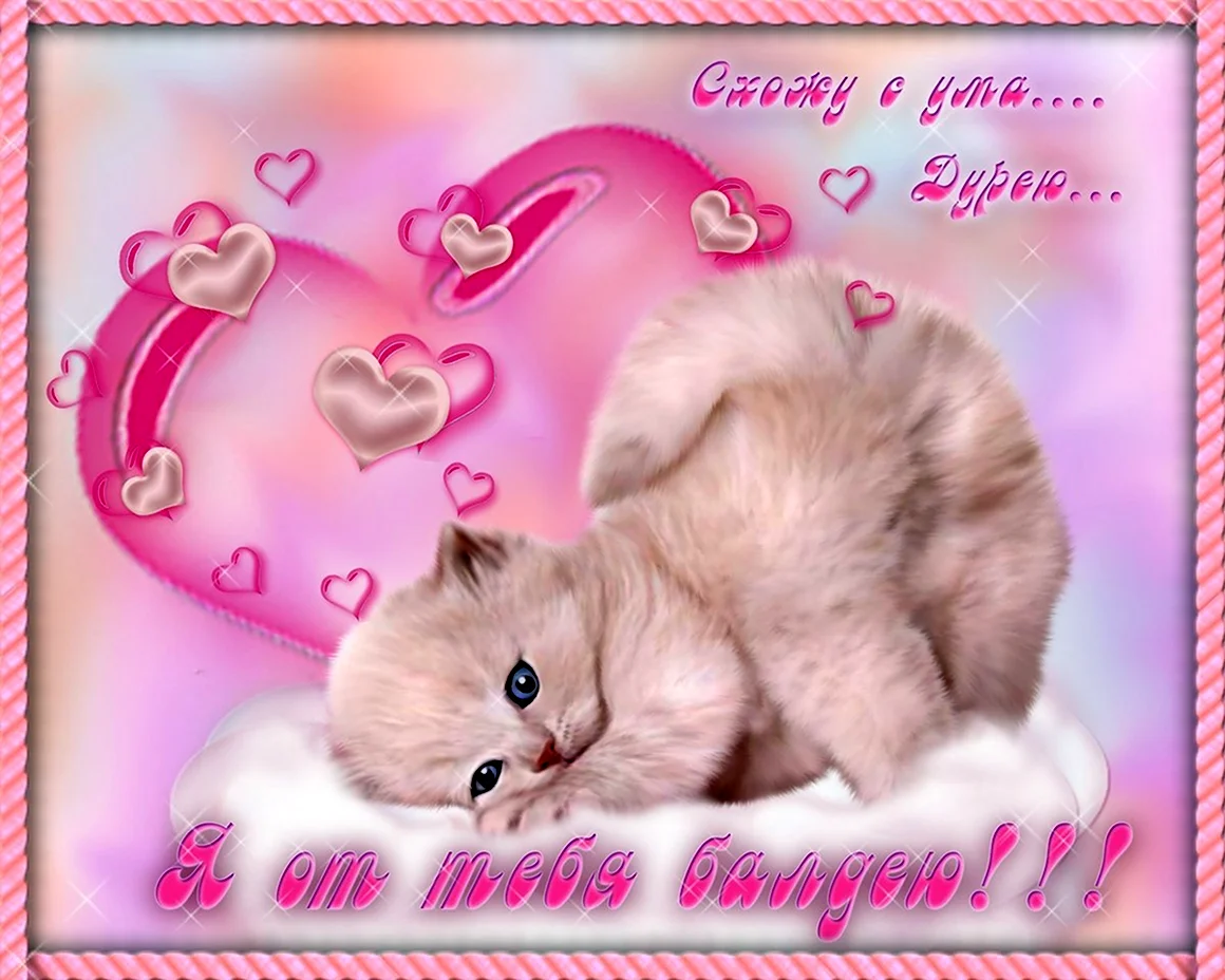 Открытки с котиками любимому