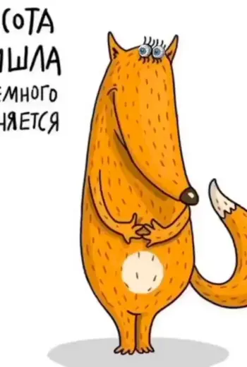 Открытки с лисами прикольные