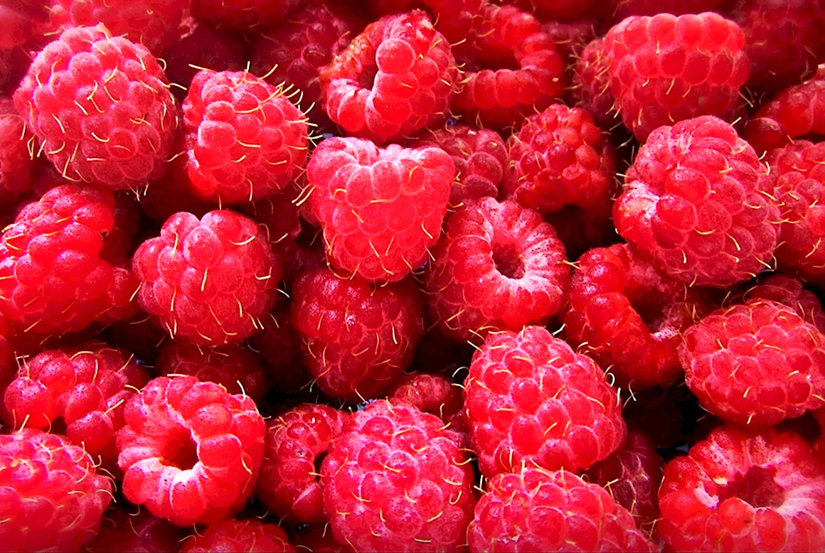 Открытки с малиной