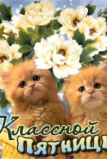 Открытки с пятницей
