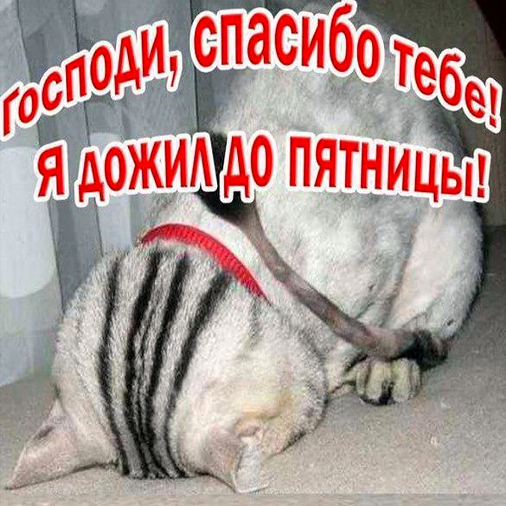 Открытки с пятницей прикольные