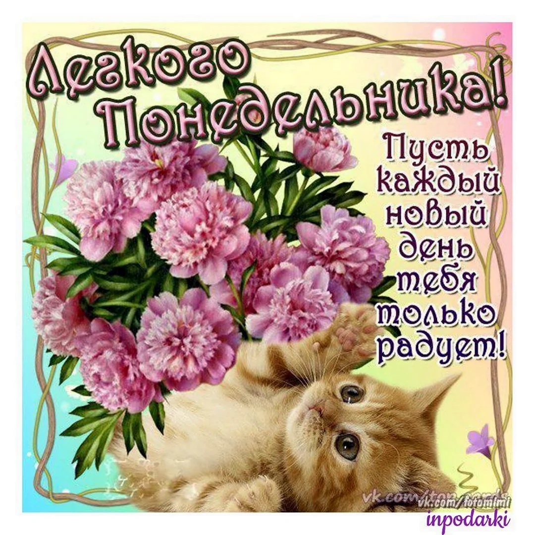 Открытки с понедельником