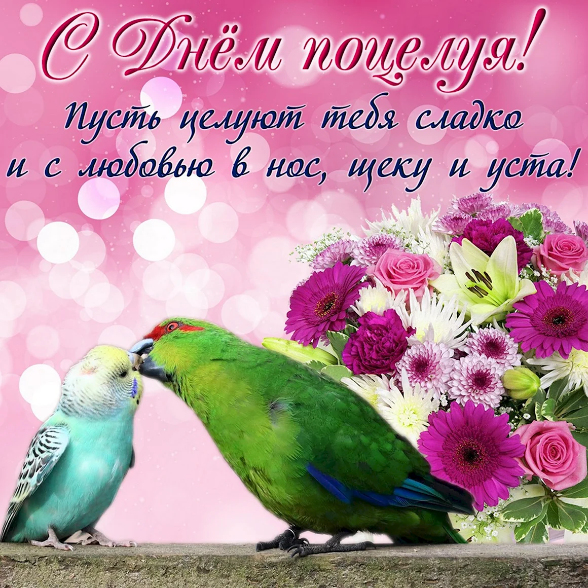 Открытки с попугаями