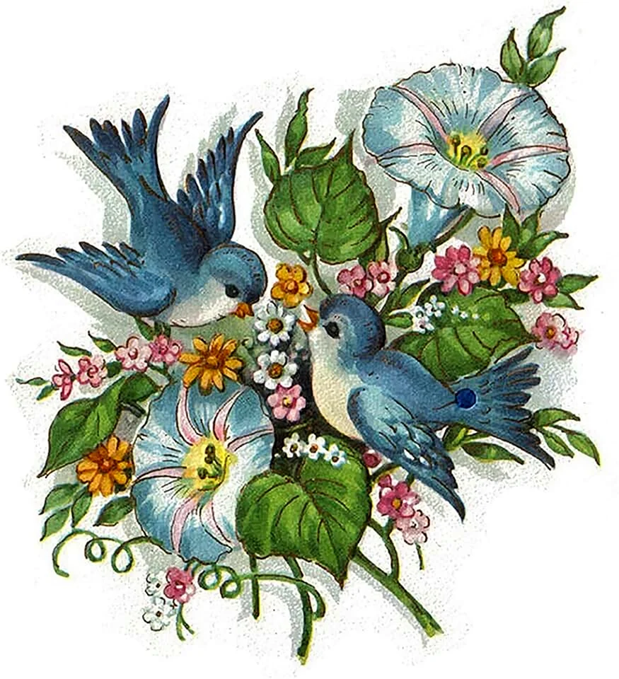 Открытки с птичками