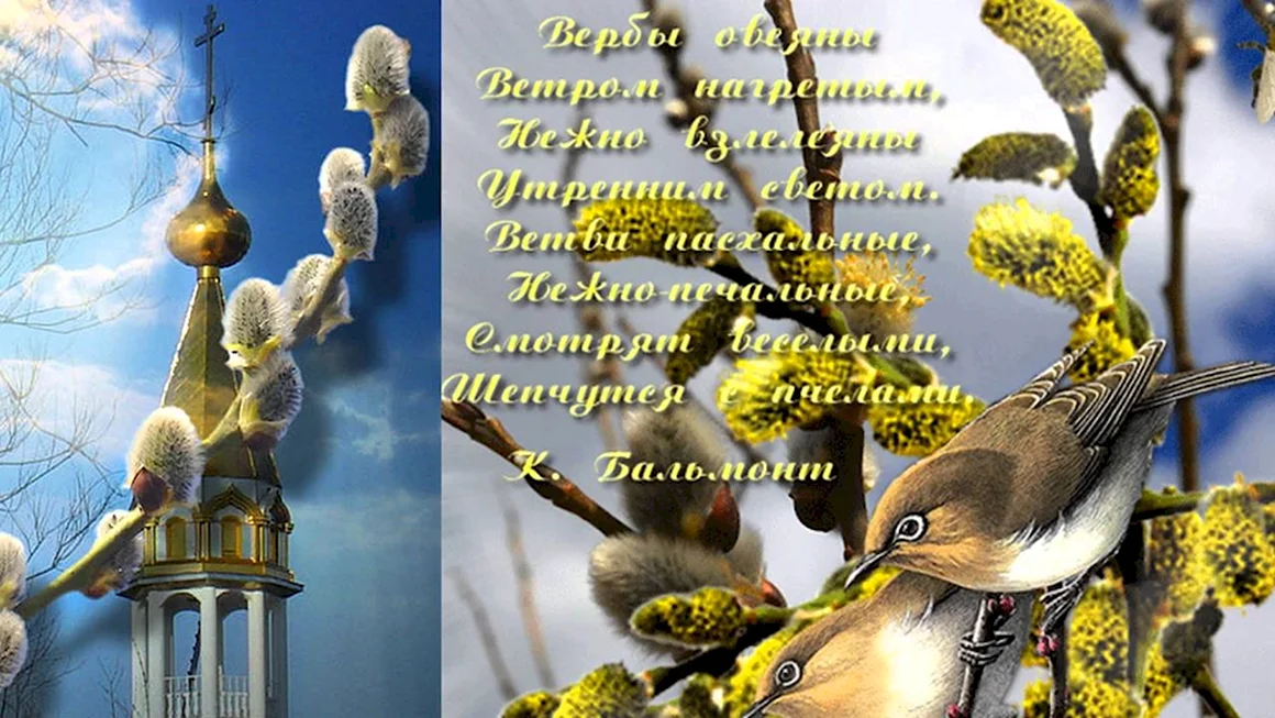 Открытки с вербой красивые