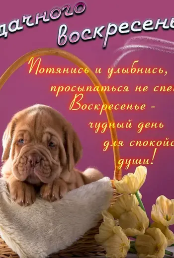 Открытки с воскресеньем