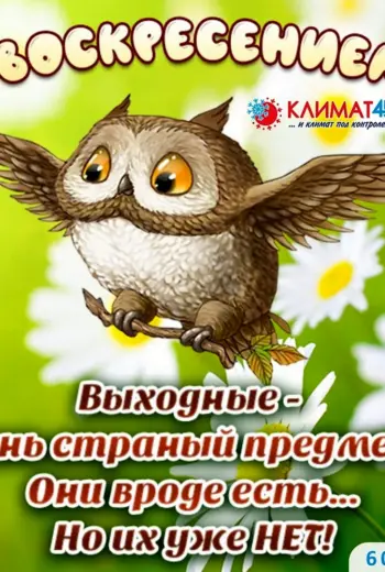 Открытки с воскресеньем прикольные