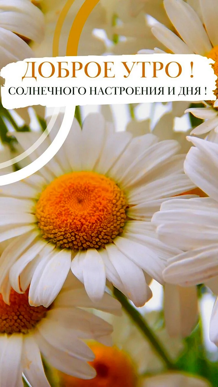 Открытки счастье есть смешные