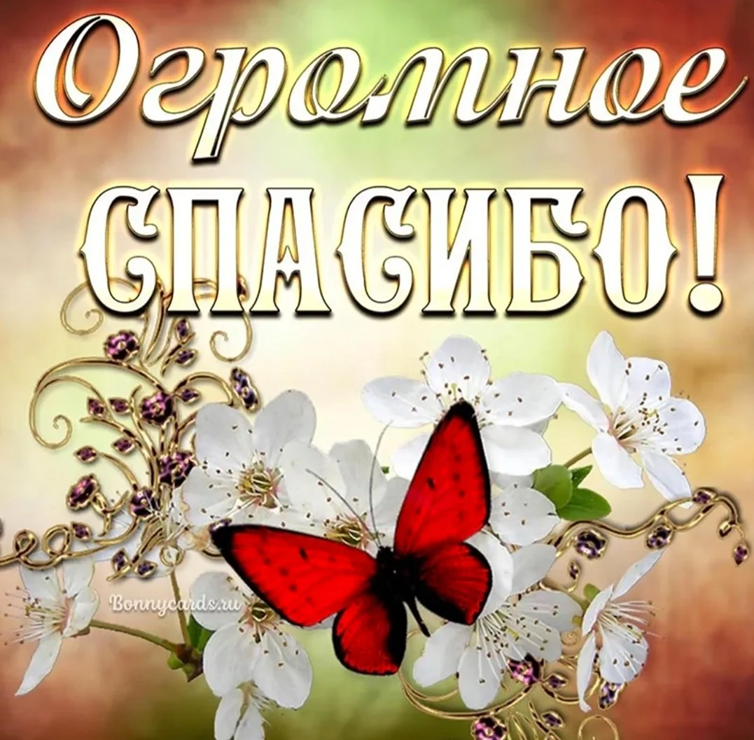 Открытки спасибо большое