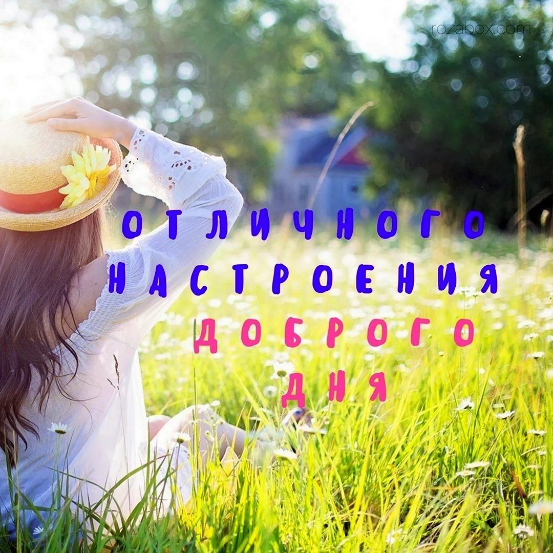 Отличного дня