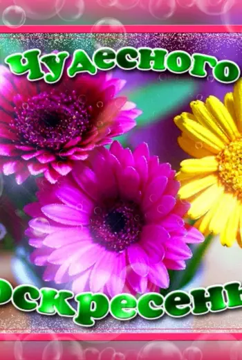 Отличного воскресенья