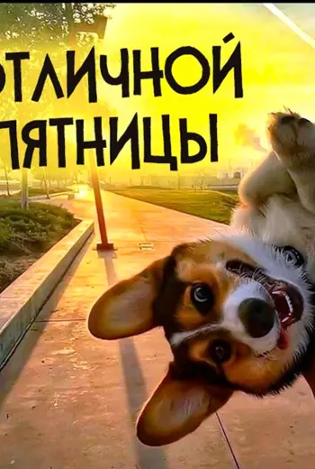 Отличной пятницы