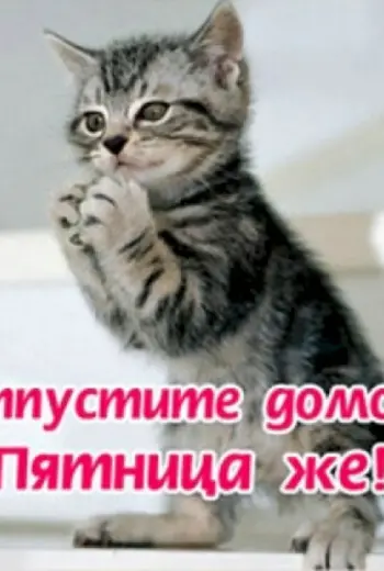 Отпустите домой