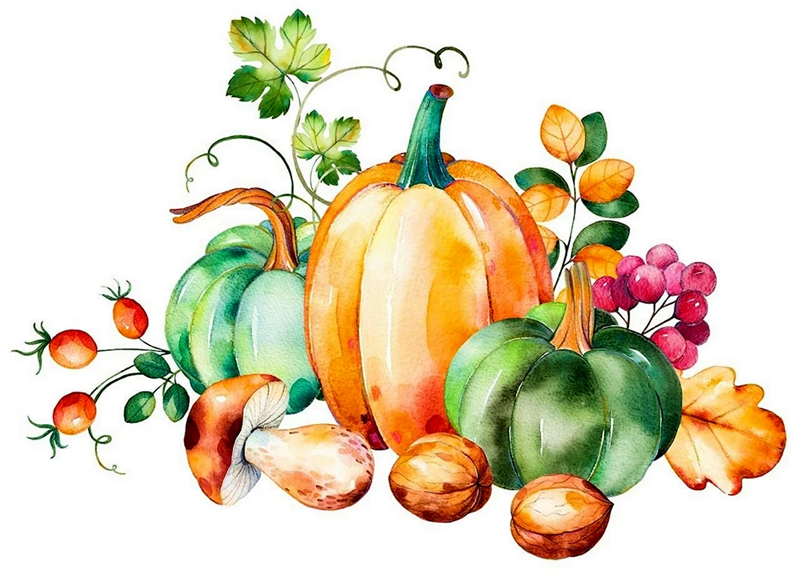 Овощи рисунок