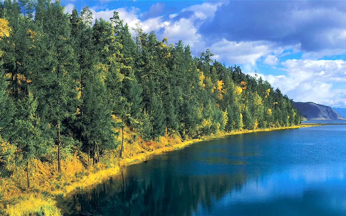 Озеро Байкал Тайга