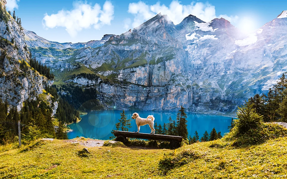 Озеро Фелен Швейцария