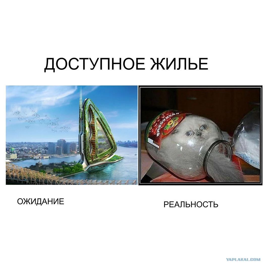 Ожидание реальность