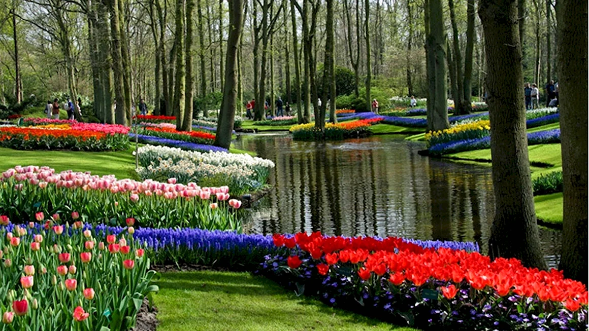 Парк «Кекенхоф» Keukenhof летом