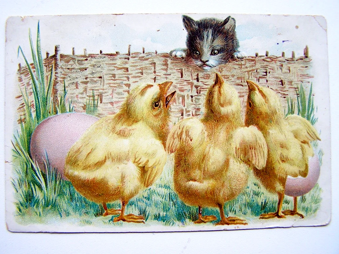Пасхальные открытки с кошками