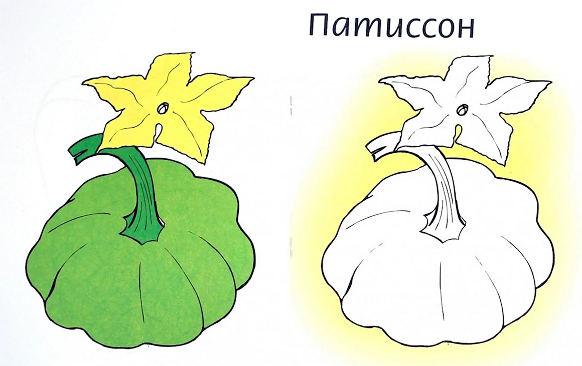 Патиссон раскраска