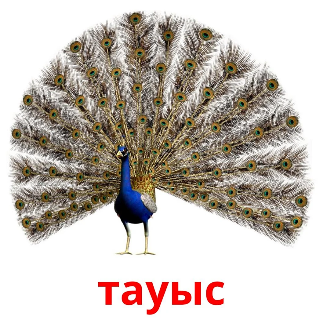 Пав это