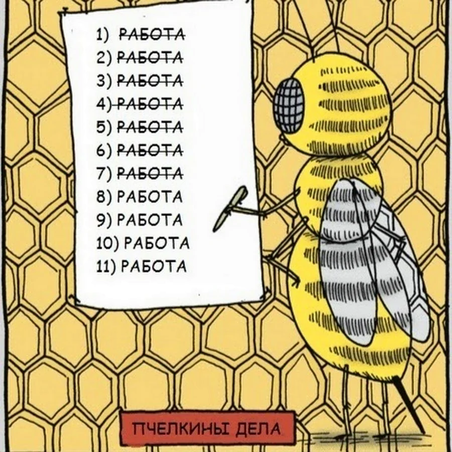 Пчелы юмор