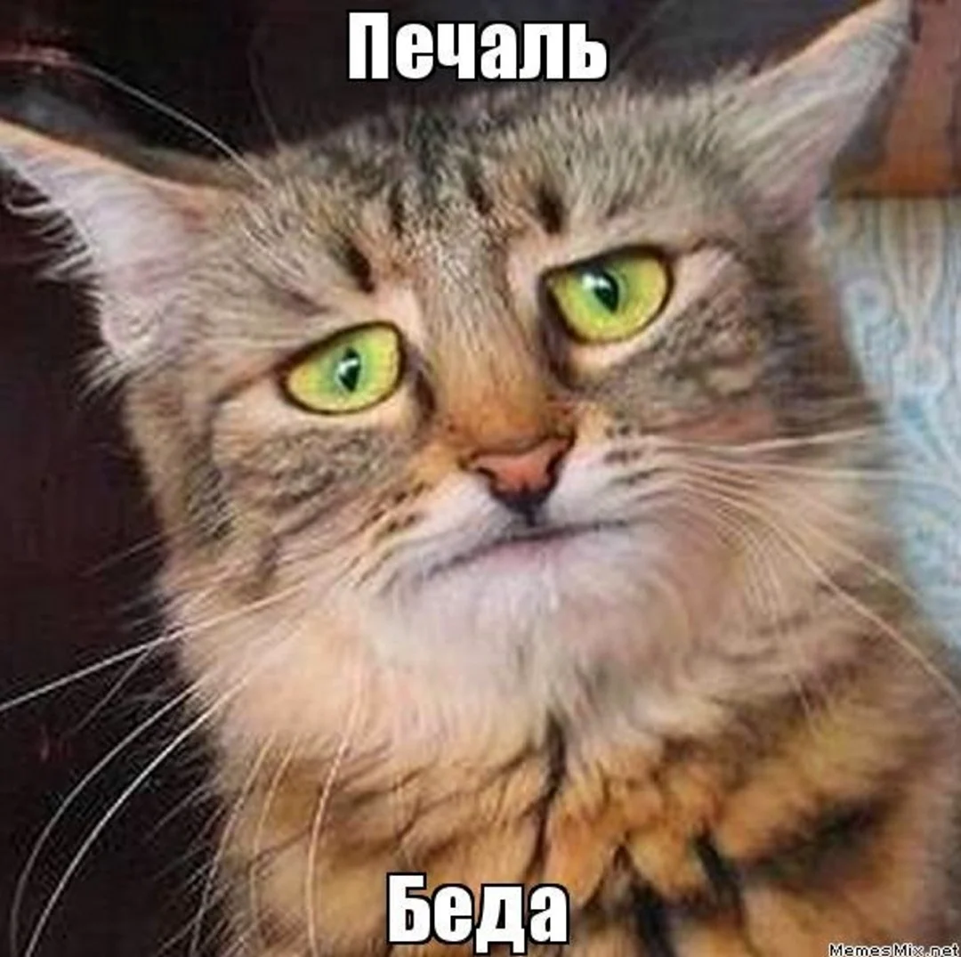 Печаль беда