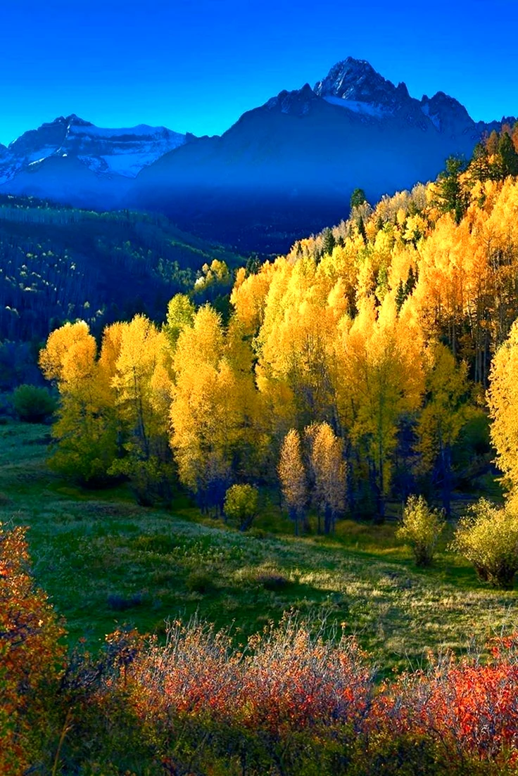 Пейзажи природы