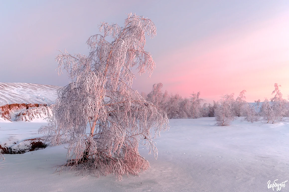 Пейзажи зима сфотканные