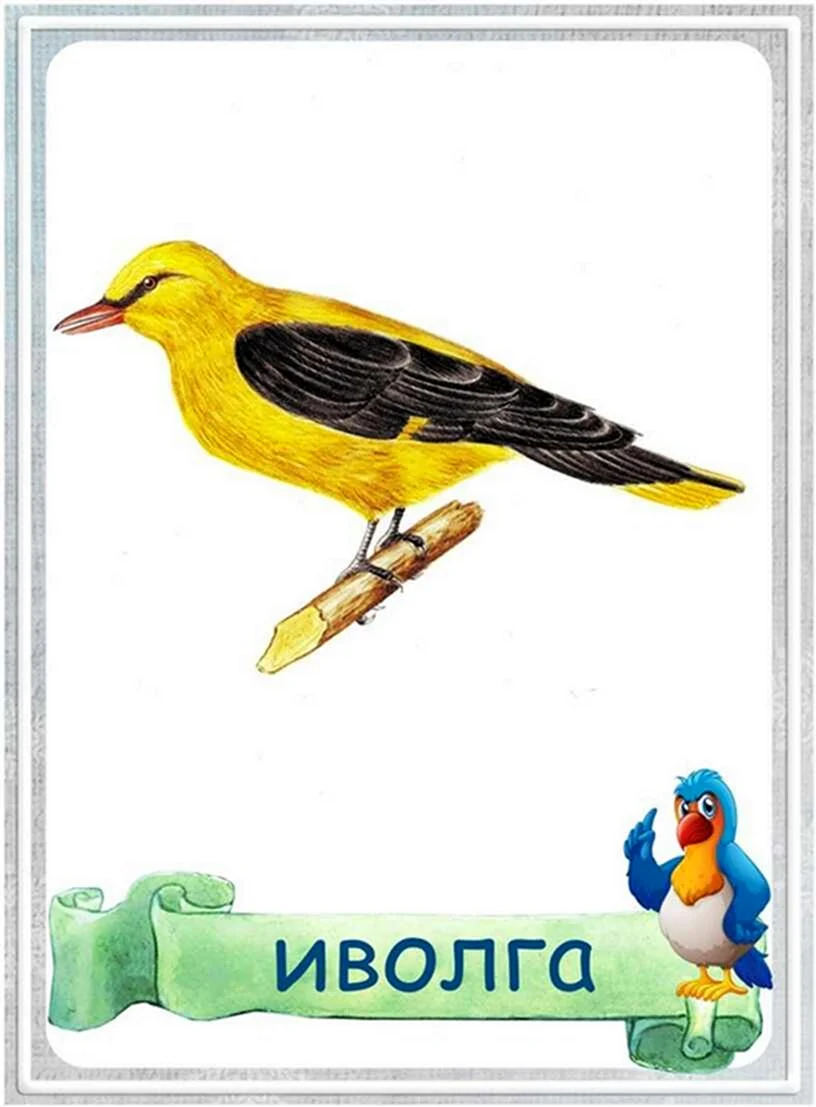 Перелетные птицы карточки для детского сада
