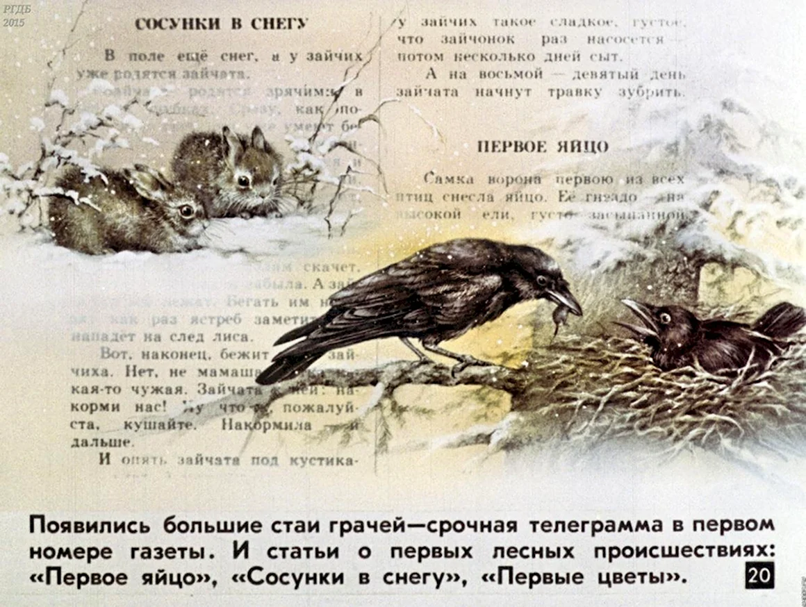 Первое яйцо Бианки