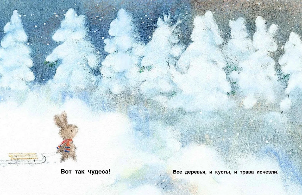 Первый снег книга
