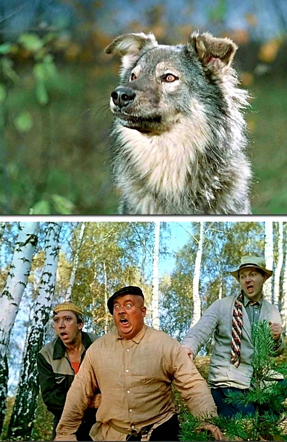 Пес Барбос и необычный кросс 1961