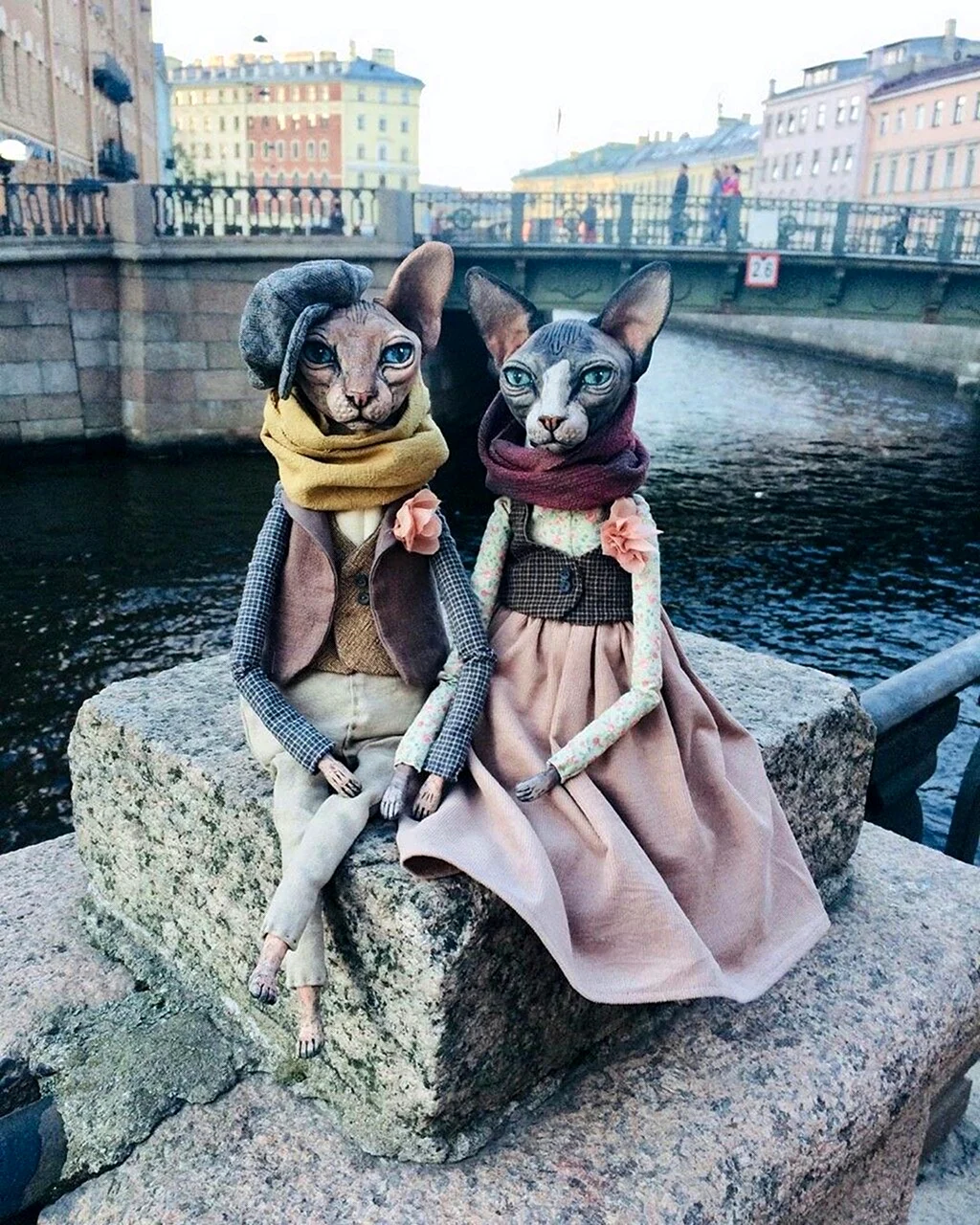 Петербургские коты Елены Алехиной