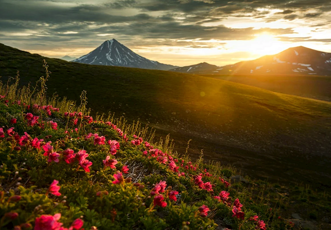 Петропавловск-Камчатский природа