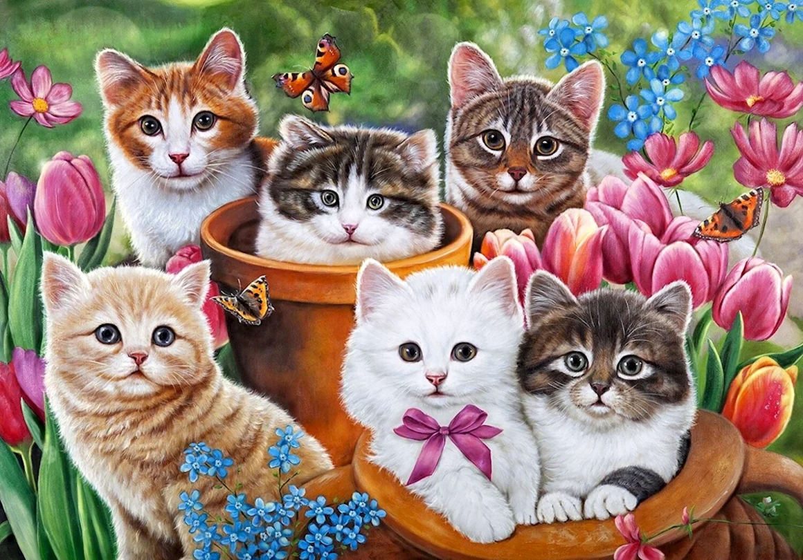 Пять разноцветных котят