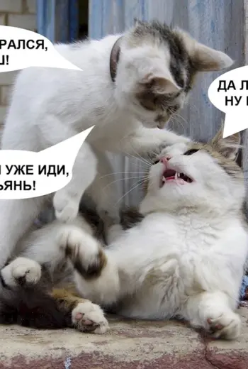 Пятница хочу домой