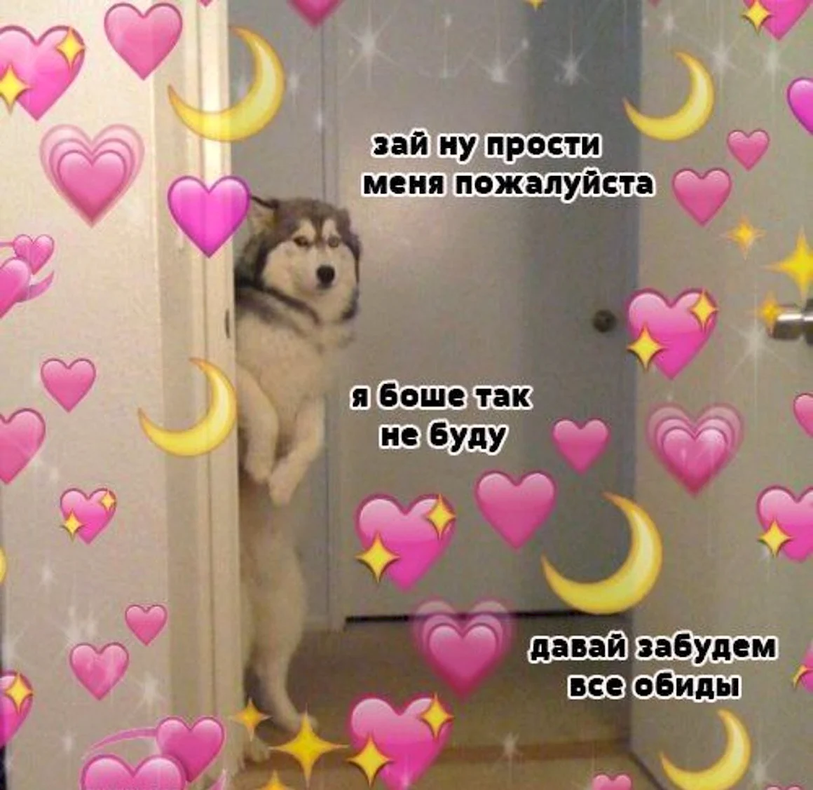 Пикчи с извинениями