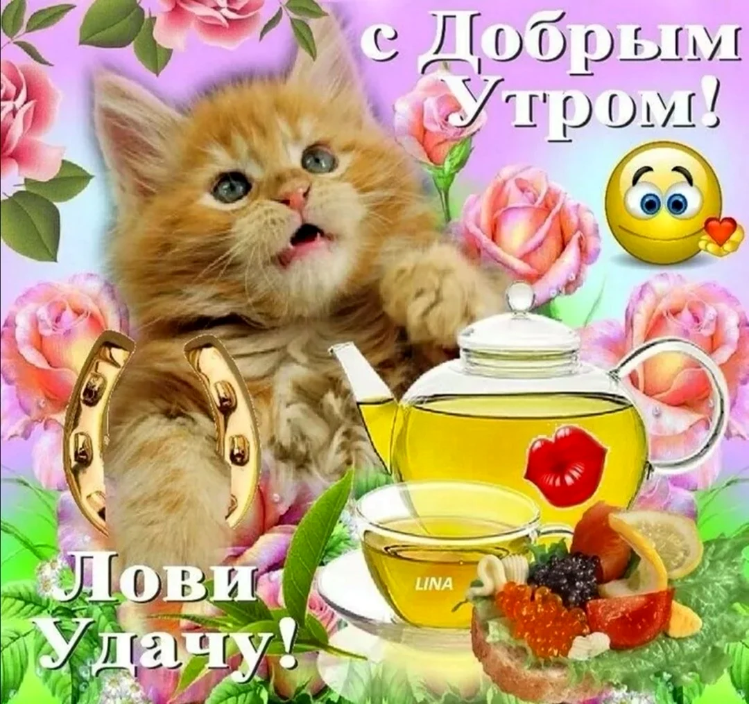 Пикольныеоткрытки с добрым утром