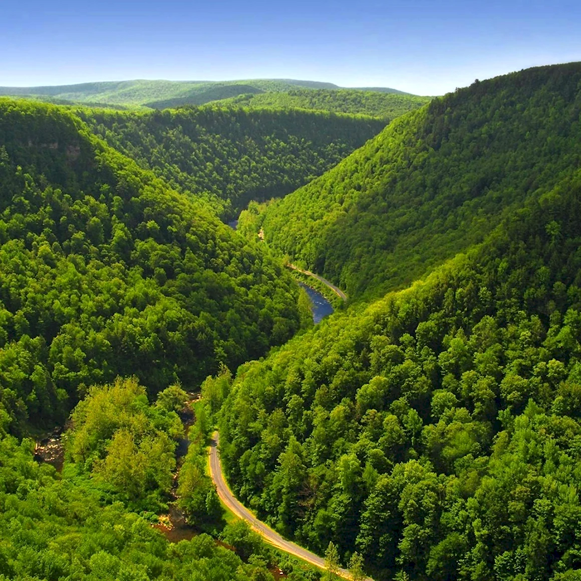 Pine Creek gorge Пенсильвания
