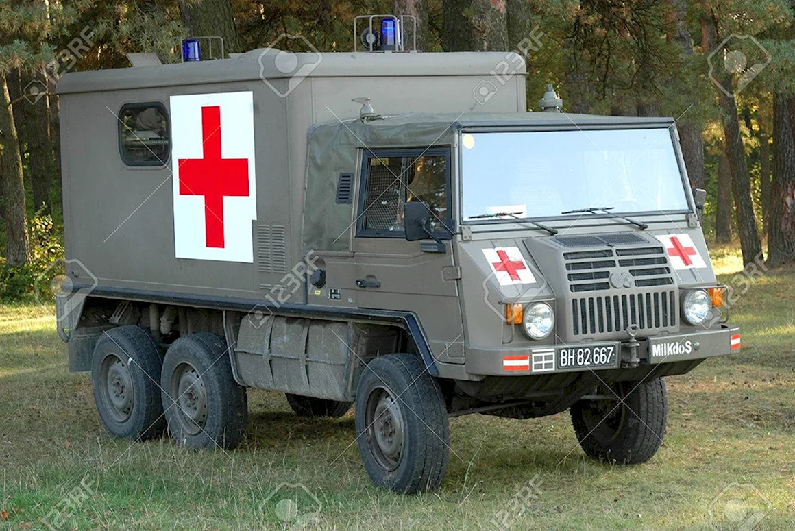 Пинцгауэр медицинский