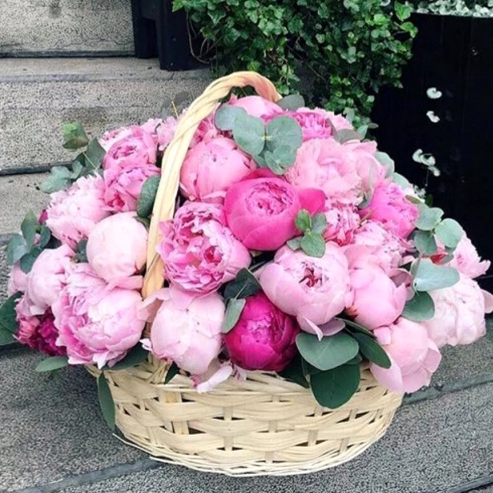 Пион Bouquet perfect